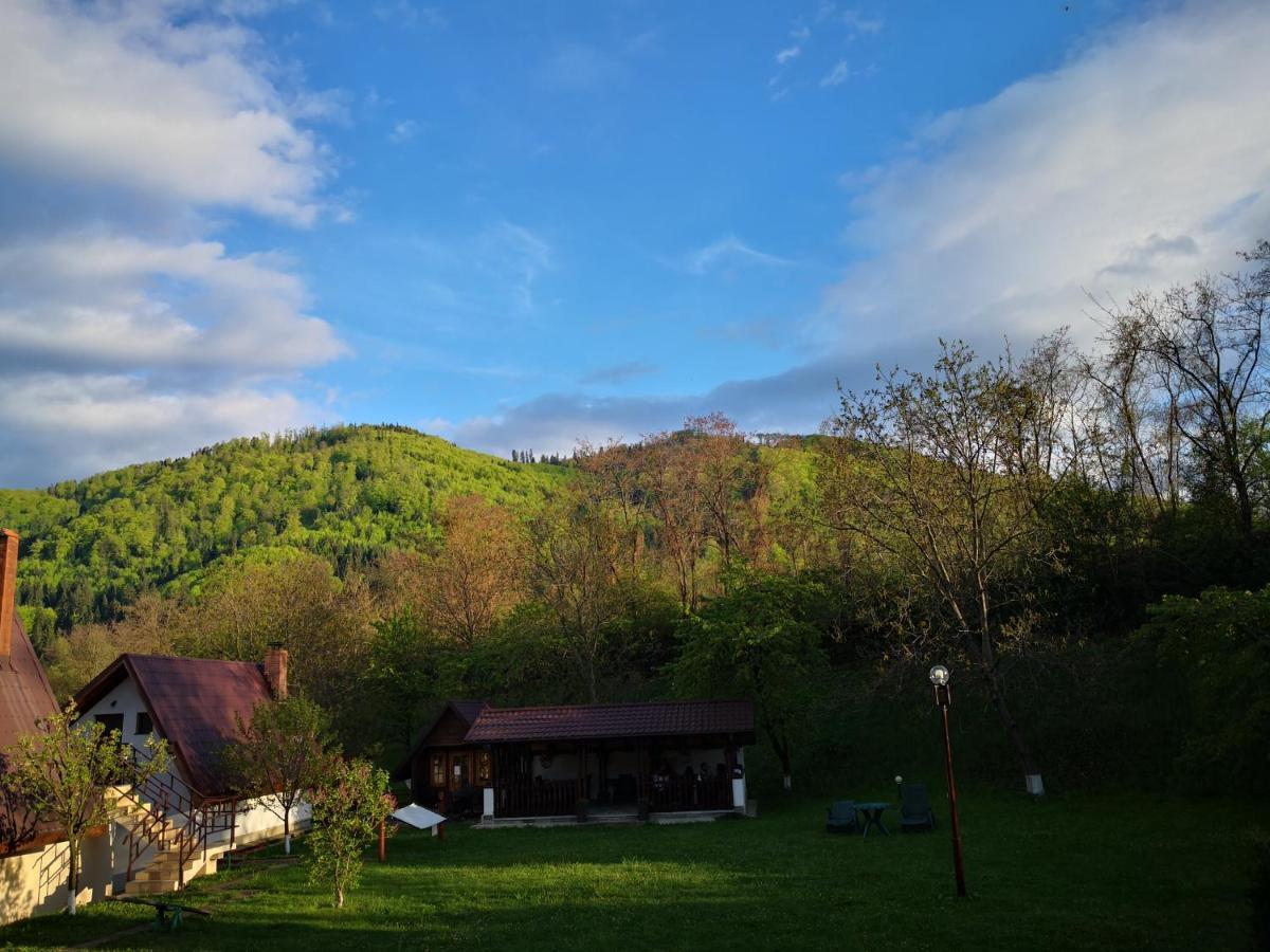 PangaraciorCastelul De Smarald住宿加早餐旅馆 外观 照片